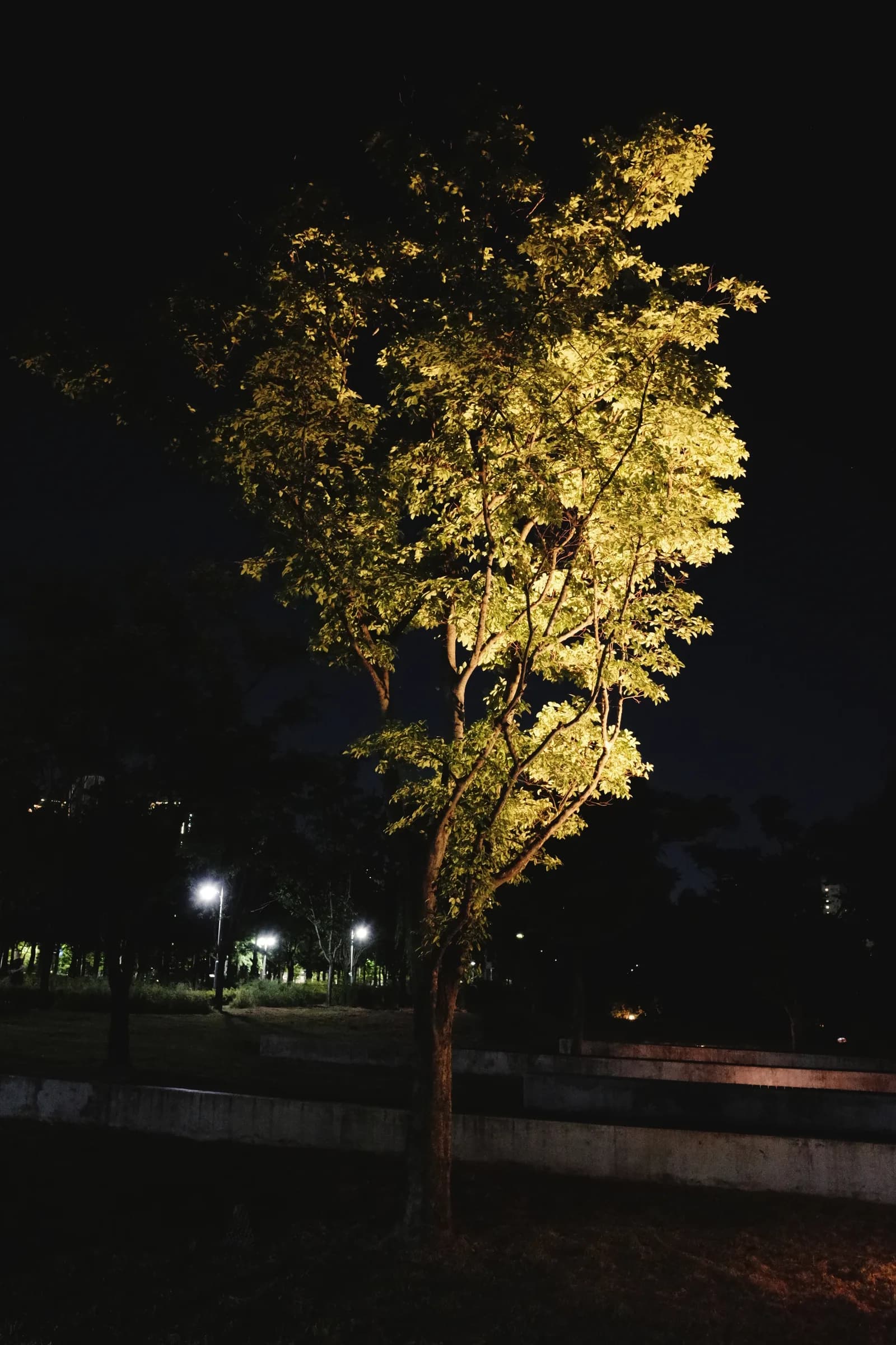 260802 — 4번 프레임