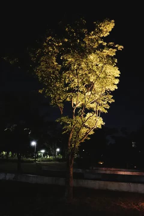 260802 — 4번 프레임